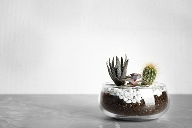 Photo of Glass florarium with different succulents on table against white background, space for text