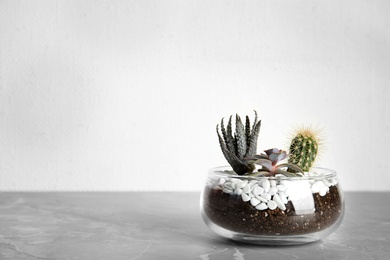 Glass florarium with different succulents on table against white background, space for text