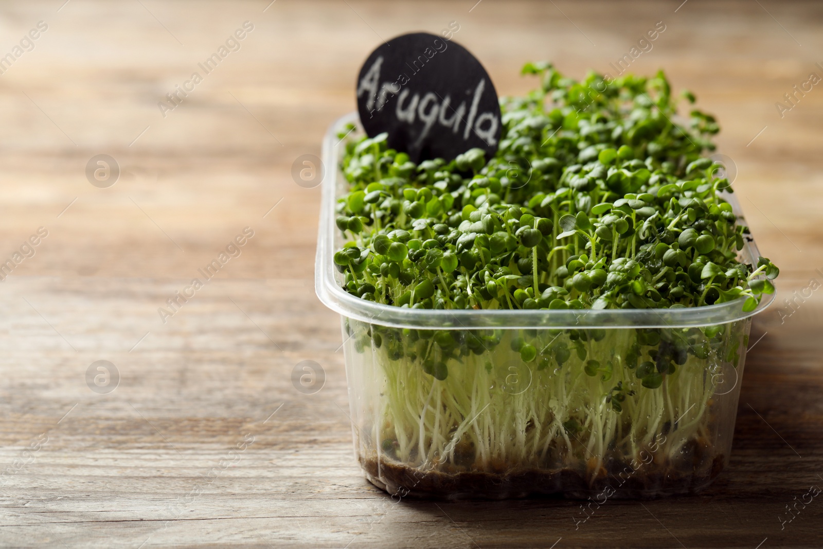 Photo of Sprouted arugula seeds in plastic container on wooden table, closeup. Space for text