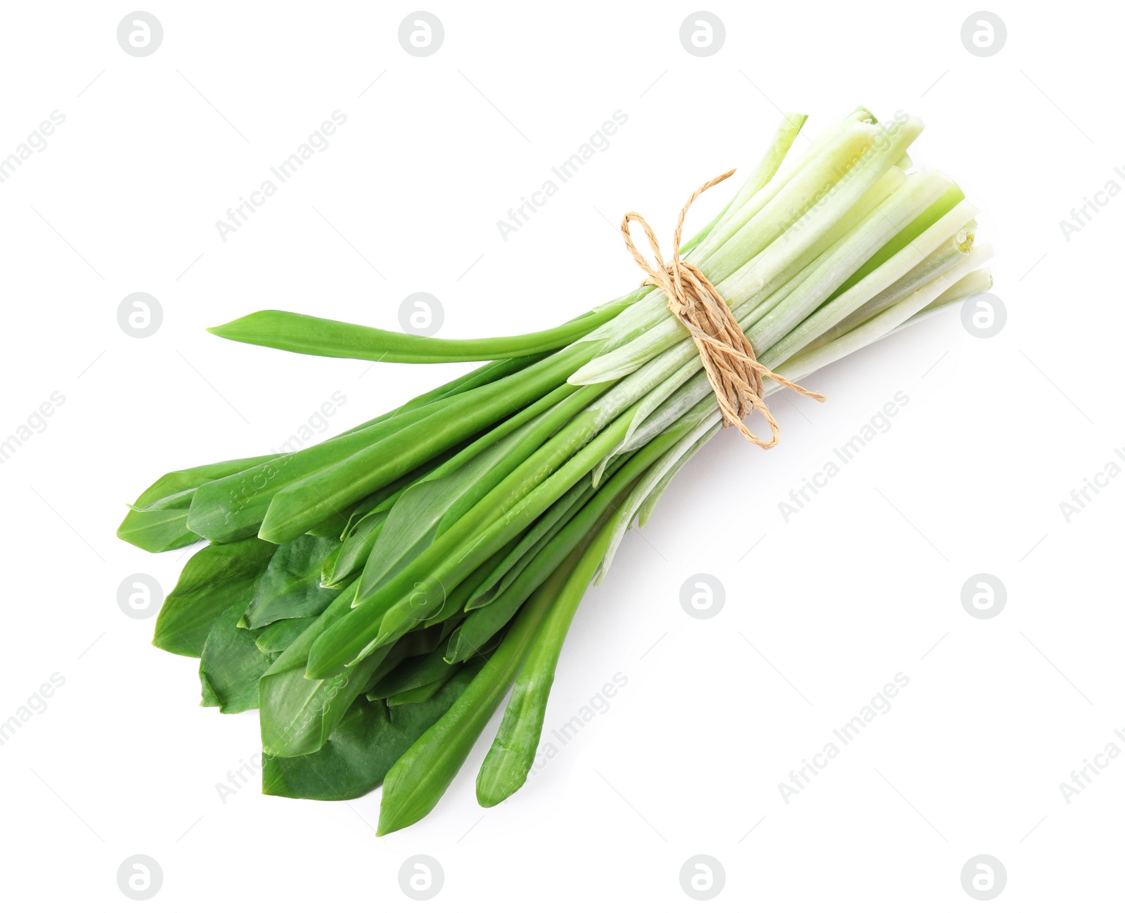 Photo of Bunch of wild garlic or ramson isolated on white