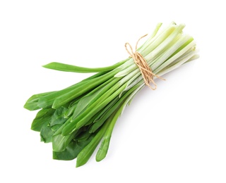 Photo of Bunch of wild garlic or ramson isolated on white