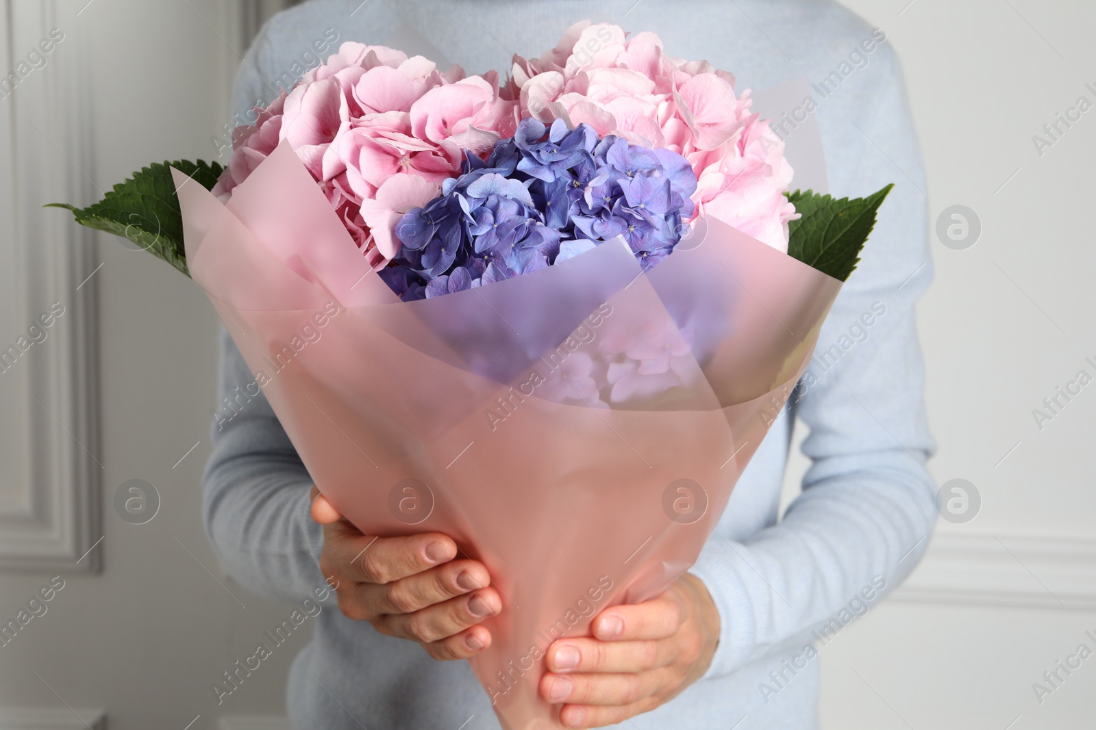 Photo of Woman with bouquet of beautiful hortensia flowers near white wall, closeup