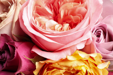 Photo of Beautiful fresh roses as background, closeup view. Floral decor