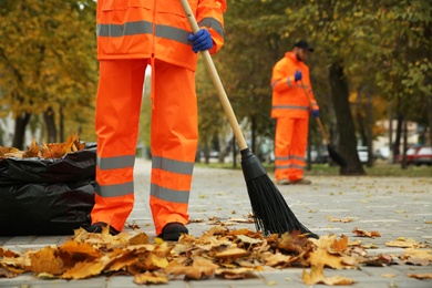 Photo of Street cleaners sweeping fallen leaves outdoors on autumn day, closeup