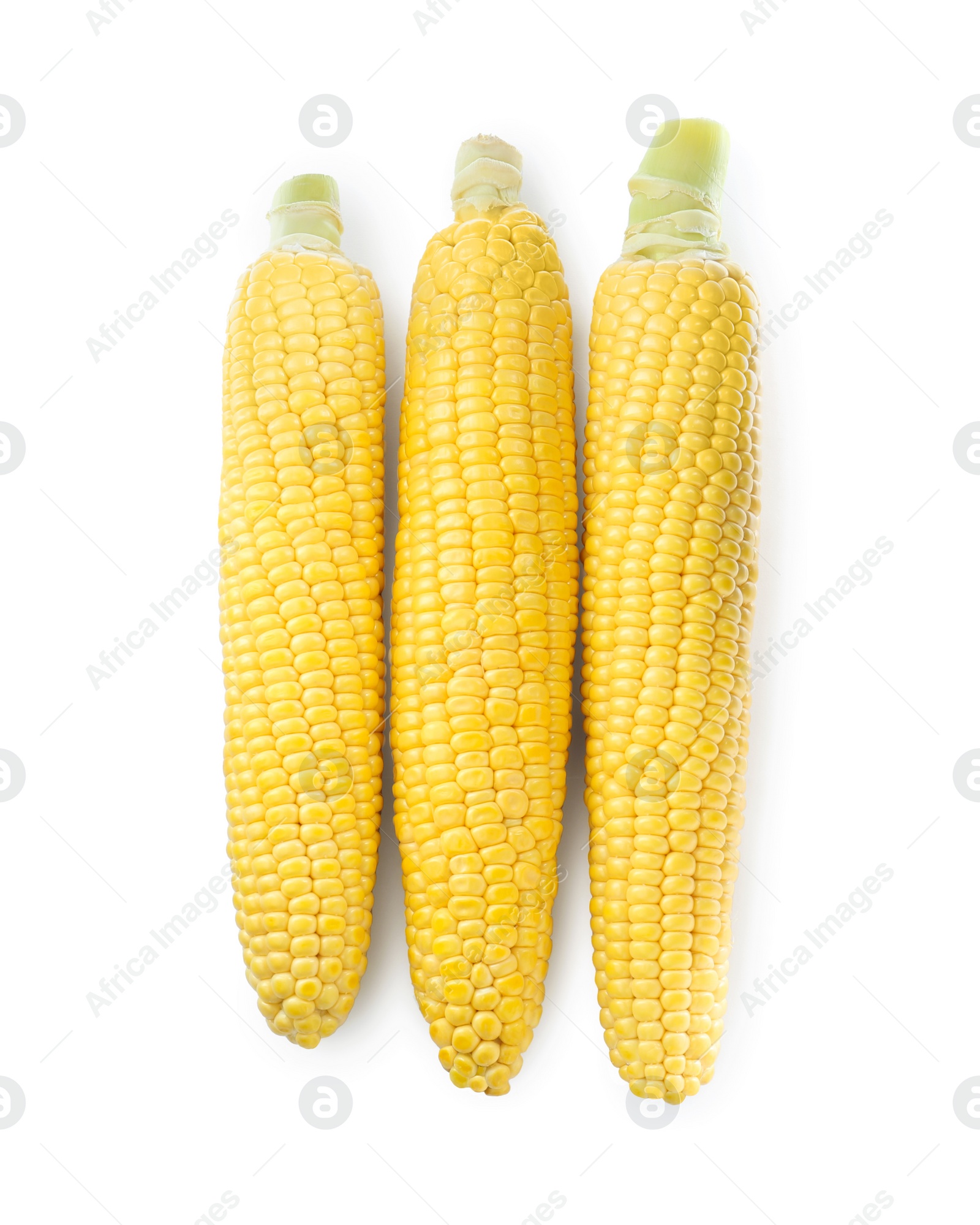 Photo of Tasty fresh corn cobs isolated on white, top view