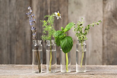 Bottles with essential oils and plants on wooden table