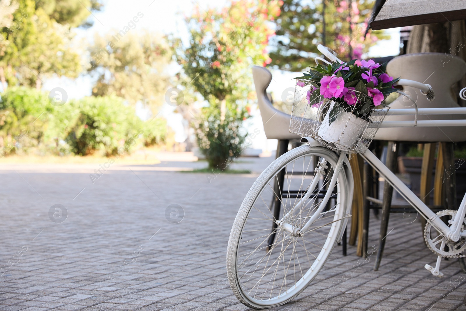 Photo of Retro bicycle with flowers in basket on outdoor terrace
