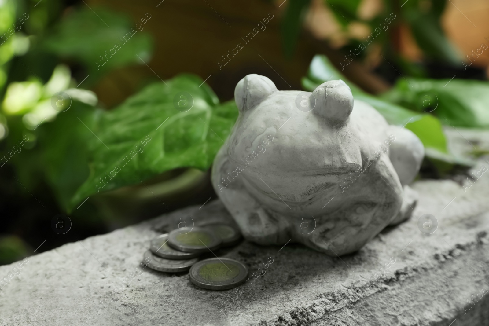 Photo of Frog figure with coins on stone parapet outdoors, closeup. Space for text