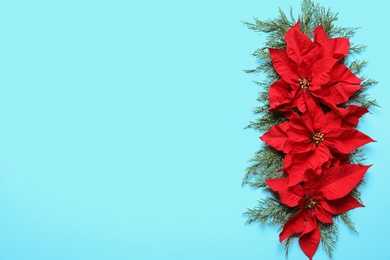 Photo of Flat lay composition with poinsettia and space for text on color background. Traditional Christmas flower