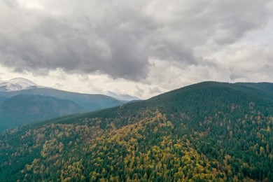 Photo of Aerial view of beautiful forest in mountains on autumn day
