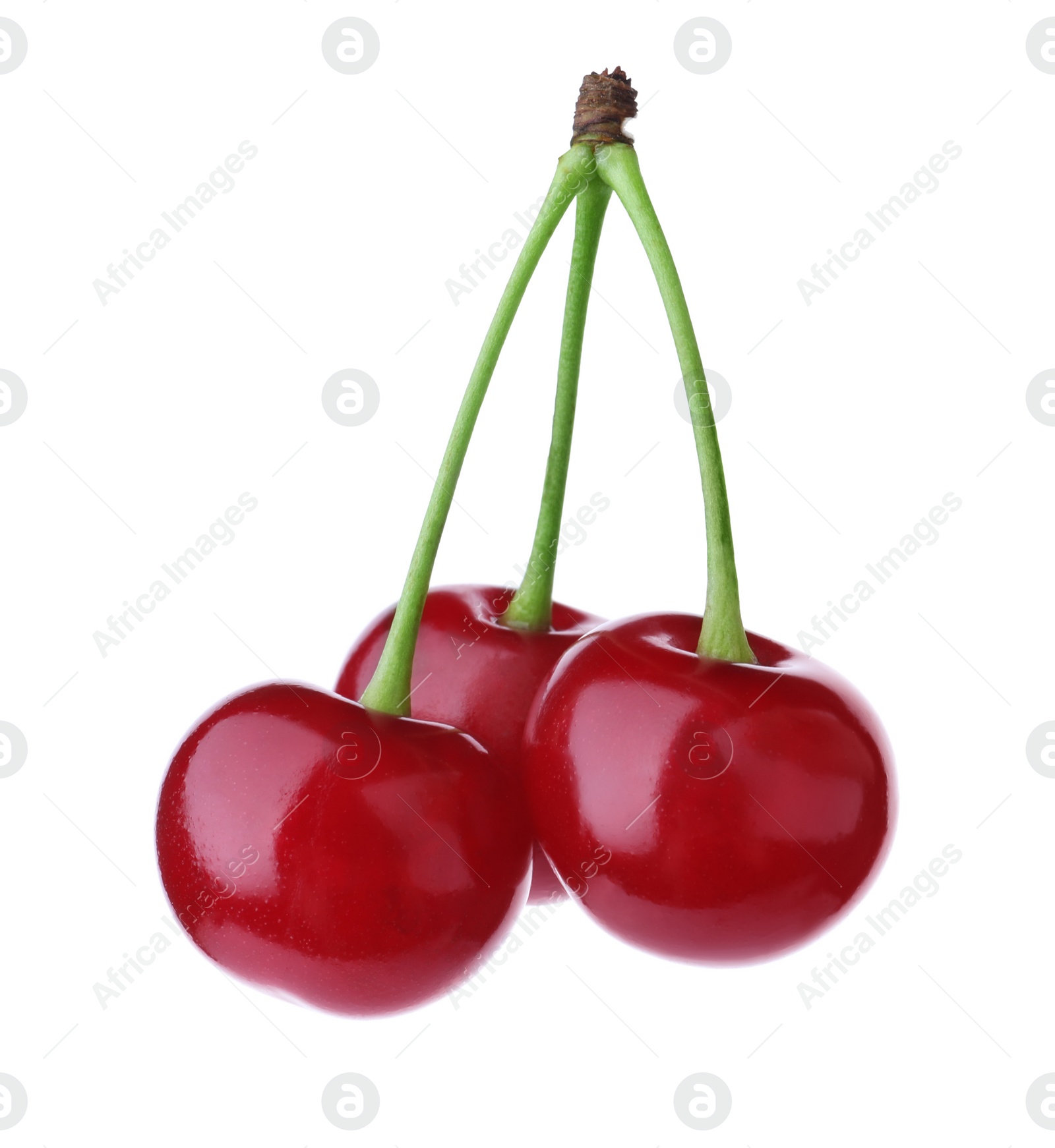 Photo of Delicious ripe sweet cherries isolated on white