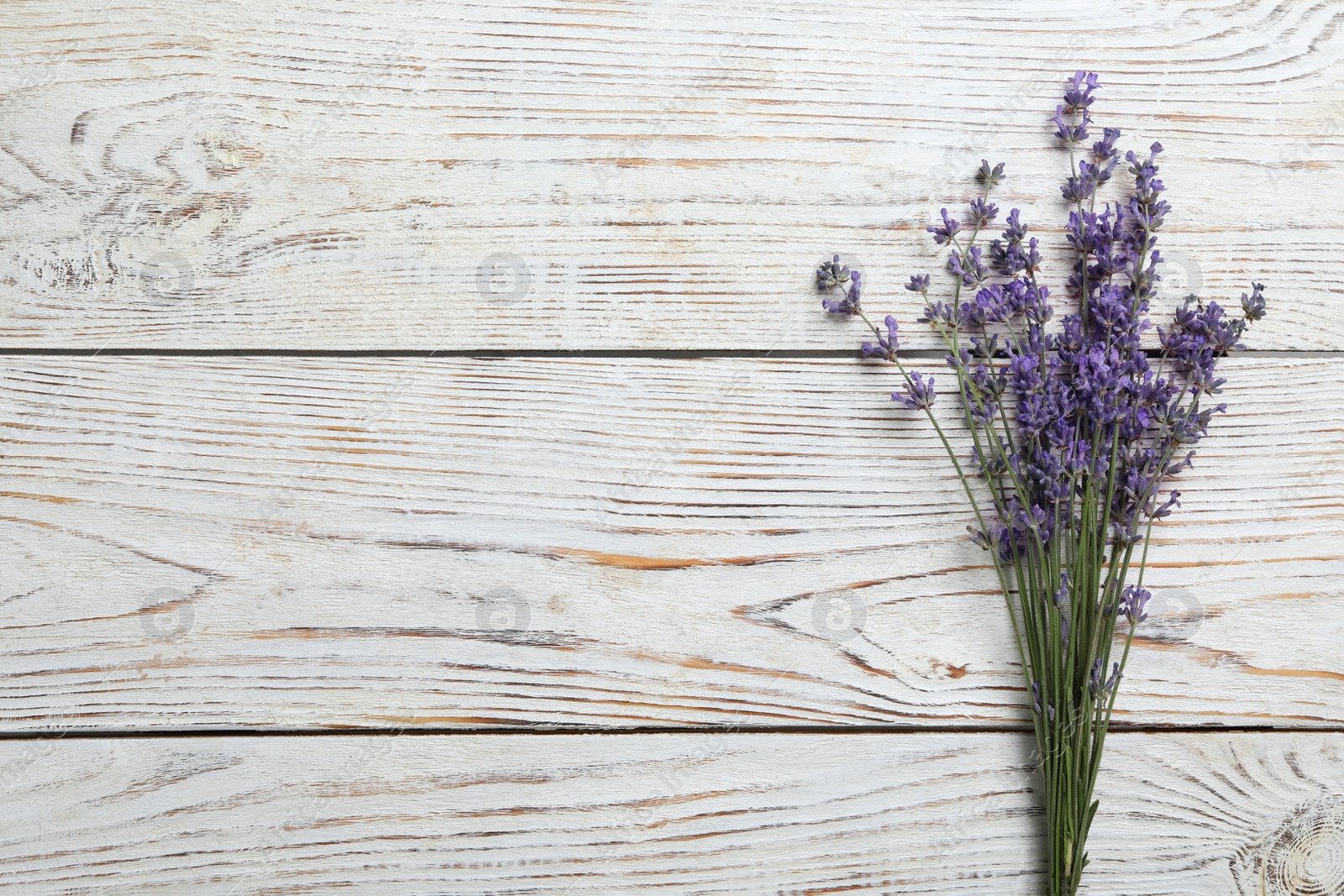 Photo of Beautiful fresh lavender flowers on white wooden background, top view. Space for text