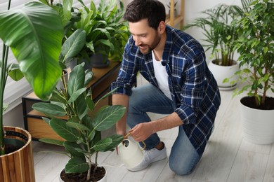 Man watering beautiful potted houseplants at home