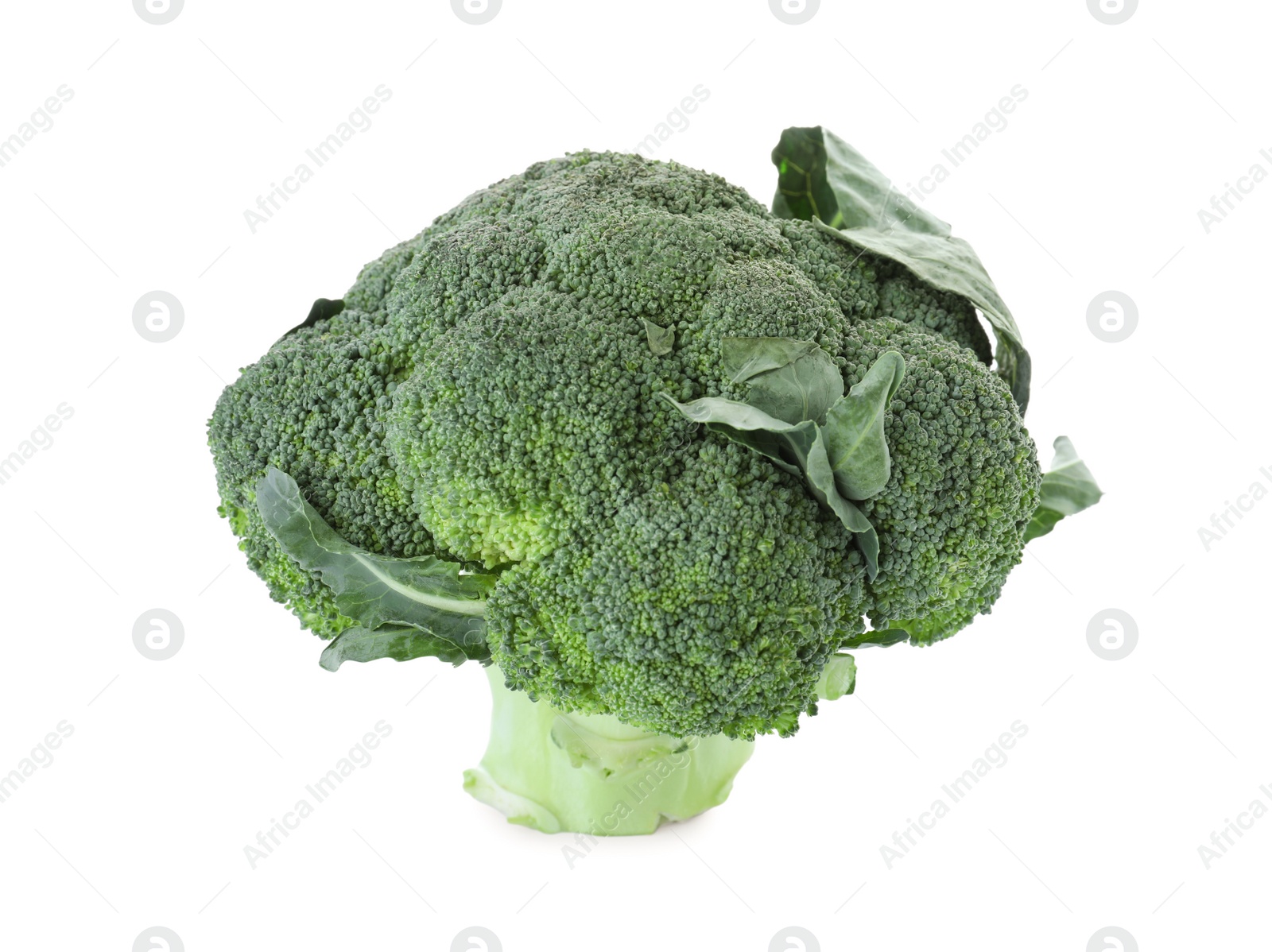 Photo of Fresh green broccoli isolated on white. Organic food