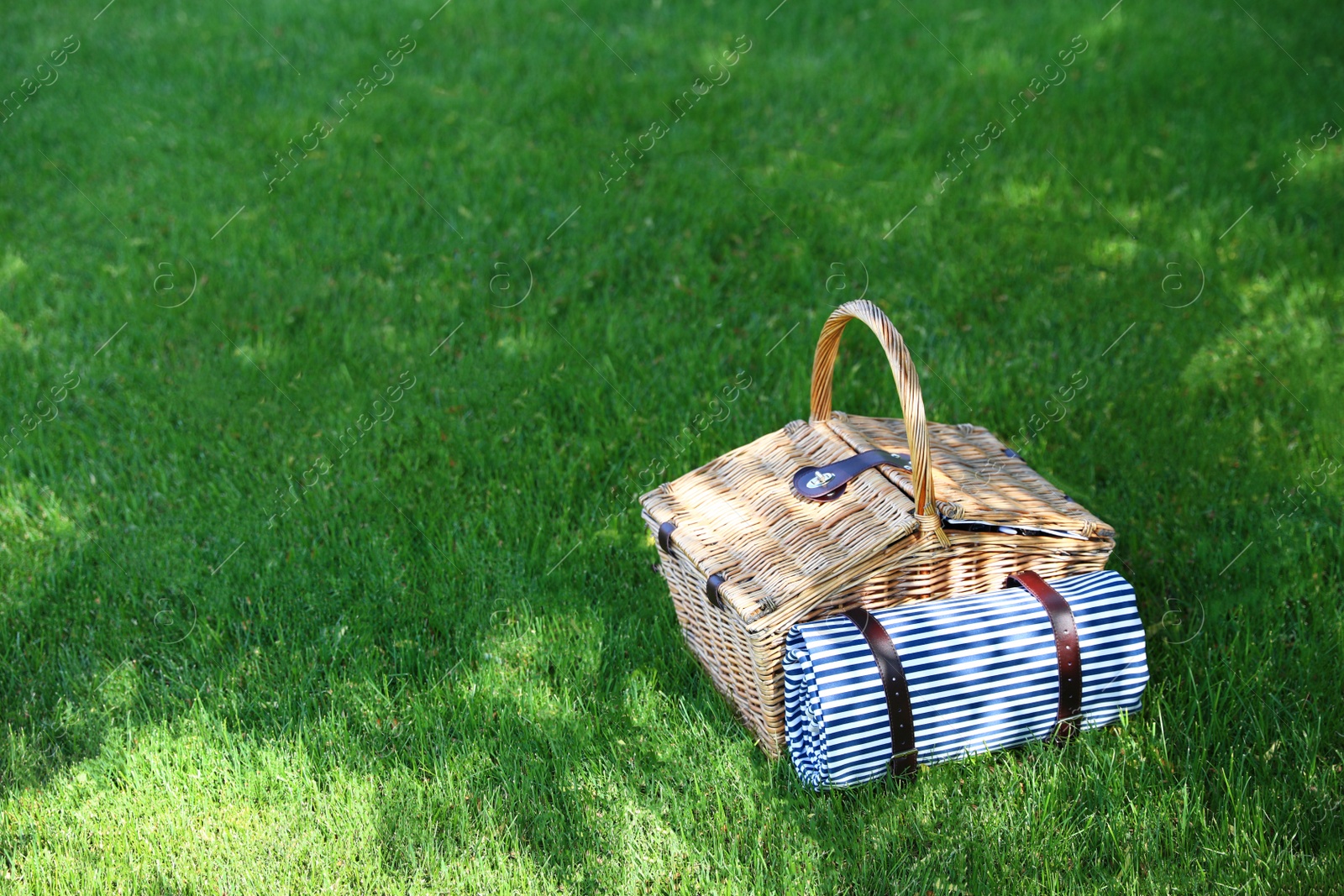 Photo of Picnic basket with blanket on green lawn in garden. Space for text