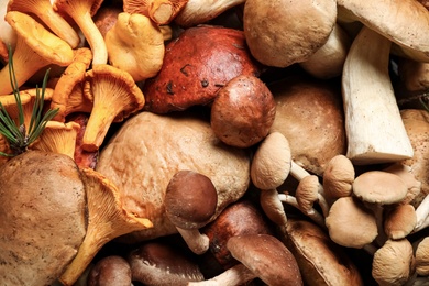 Photo of Different fresh wild mushrooms as background, top view
