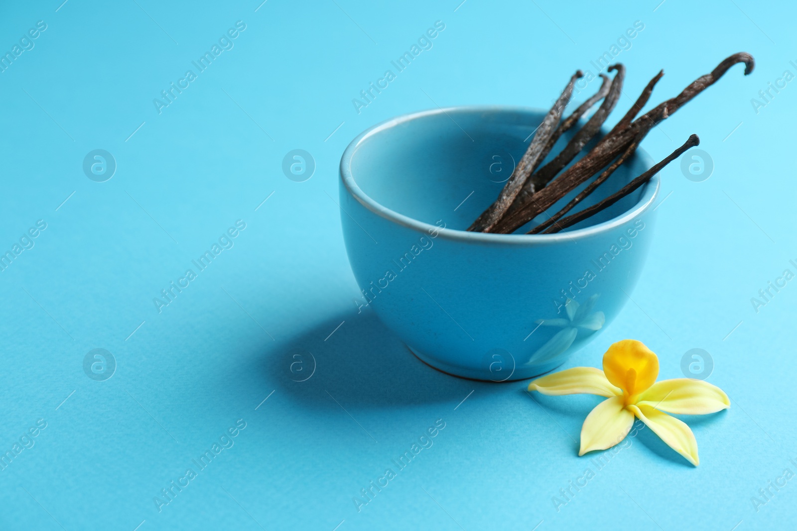 Photo of Flower and bowl with vanilla sticks on blue background. Space for text