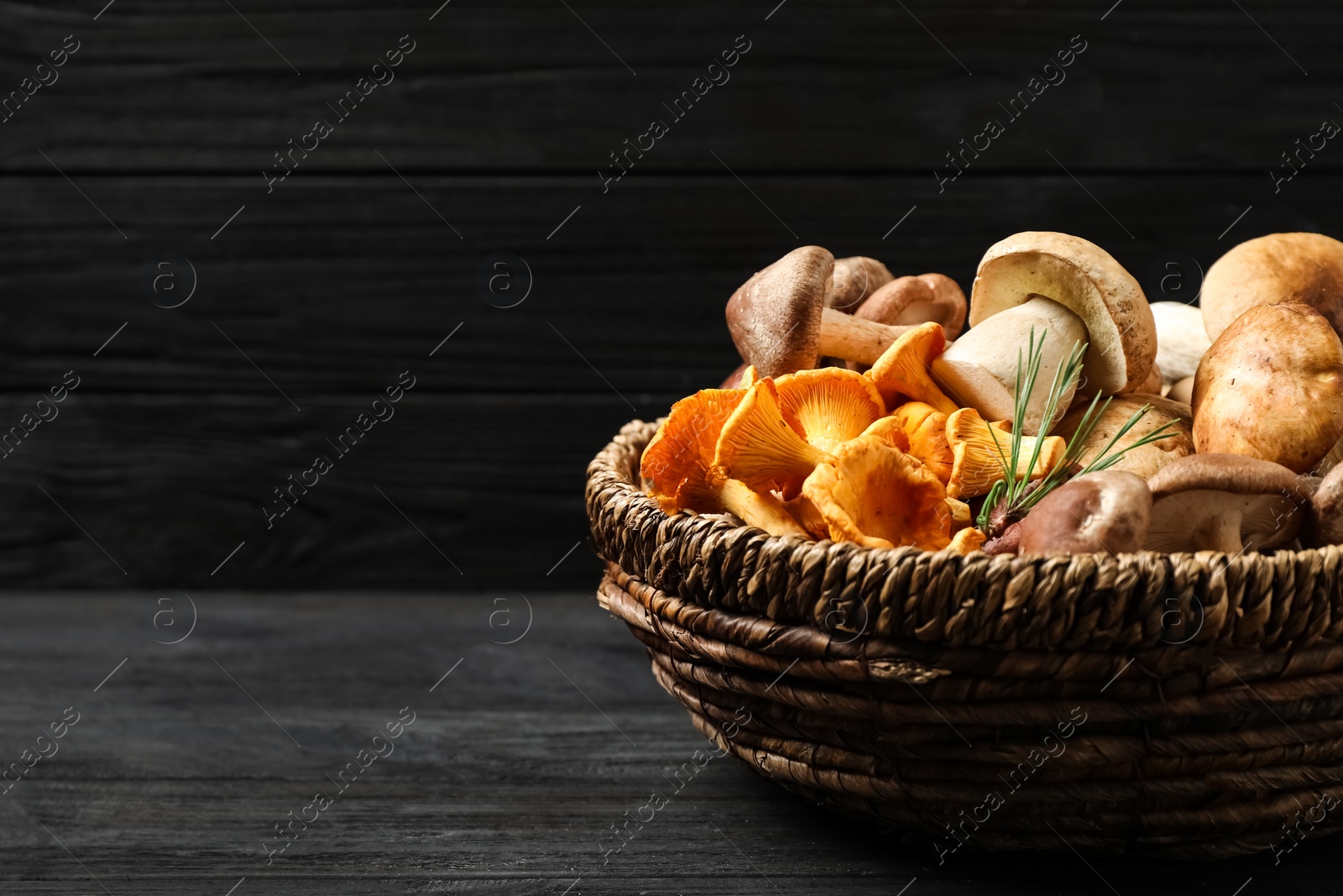 Photo of Different fresh wild mushrooms on black wooden table, top view. Space for text