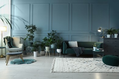 Photo of Many potted houseplants and stylish furniture near light blue wall in beautiful room