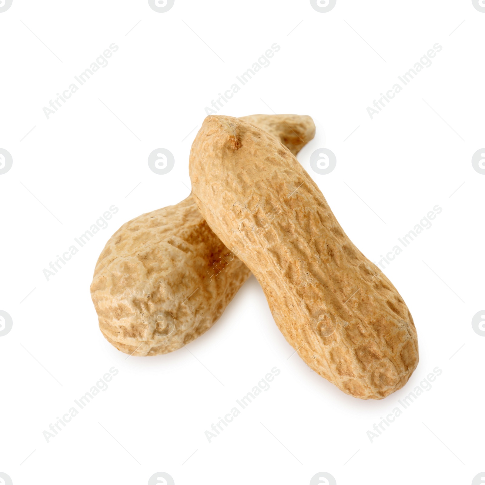Photo of Two fresh unpeeled peanuts isolated on white