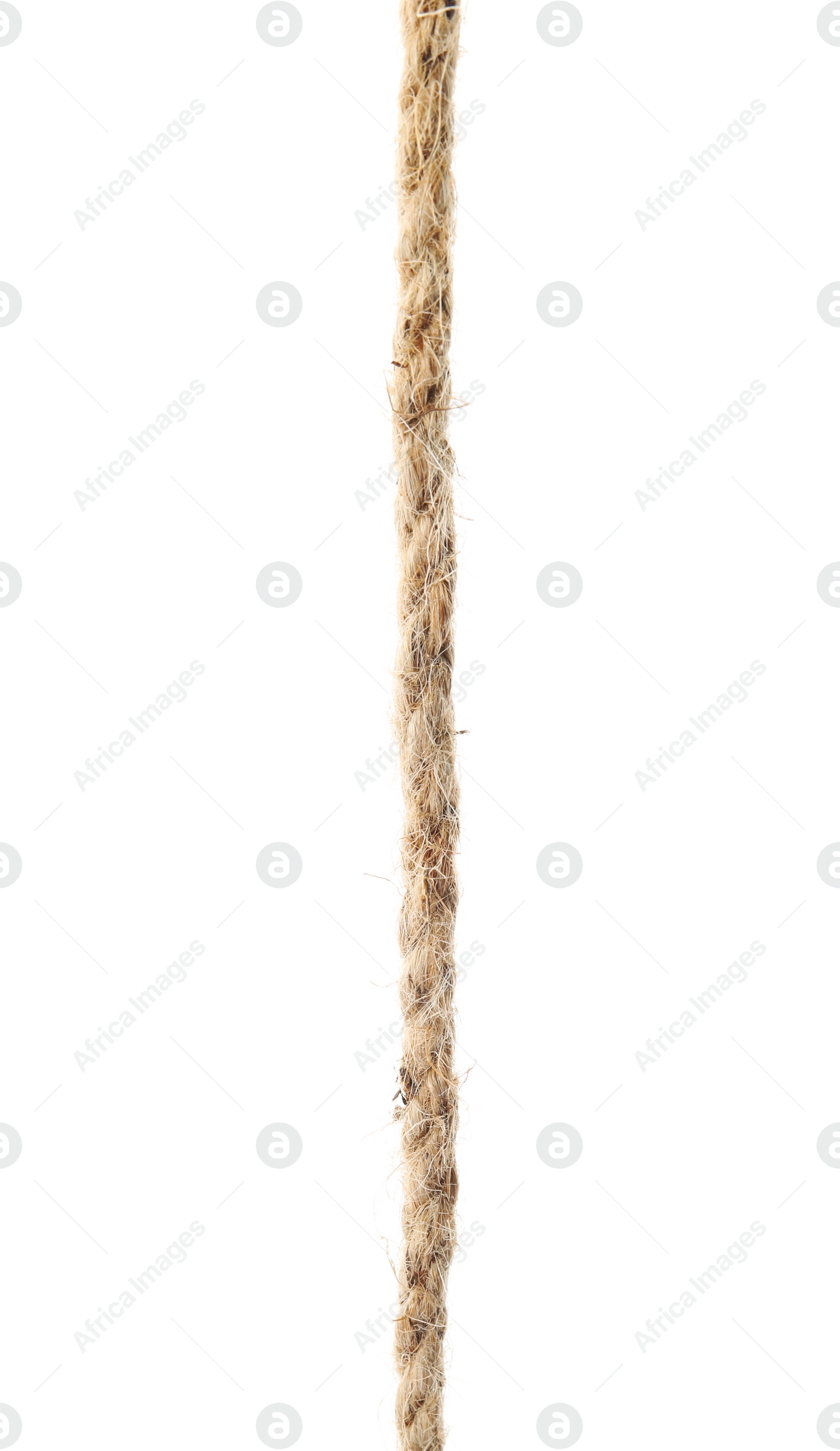 Photo of Hemp rope on white background. Organic material