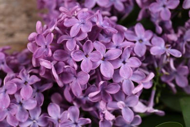 Photo of Beautiful view of aromatic lilac flowers, closeup
