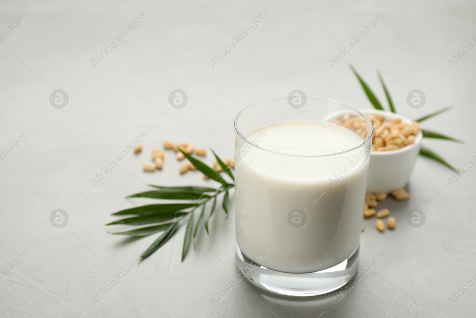 Photo of Vegan milk and pine nuts on light table, closeup. Space for text