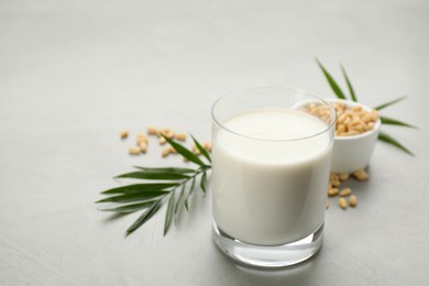 Photo of Vegan milk and pine nuts on light table, closeup. Space for text