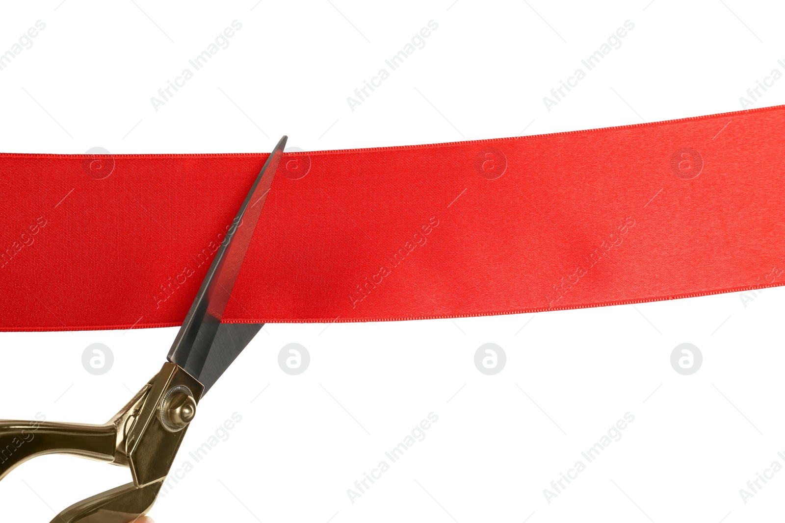 Photo of Cutting red ribbon with scissors on white background