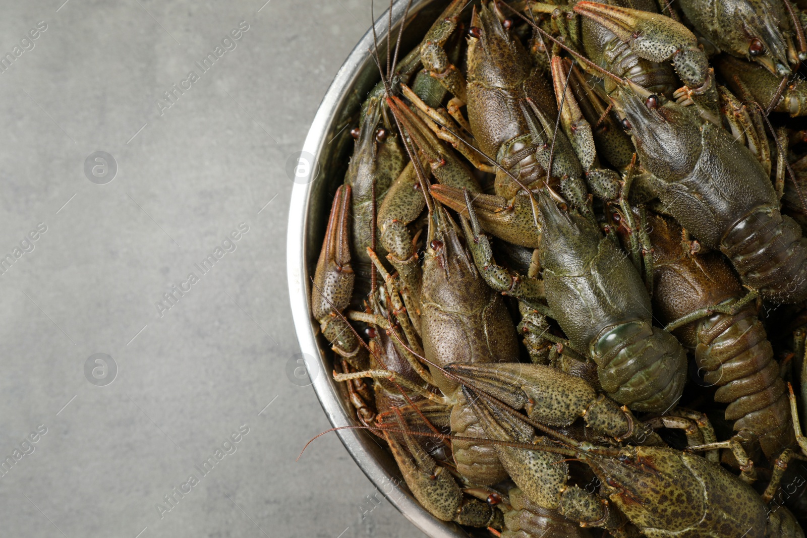 Photo of Fresh raw crayfishes on grey table, top view