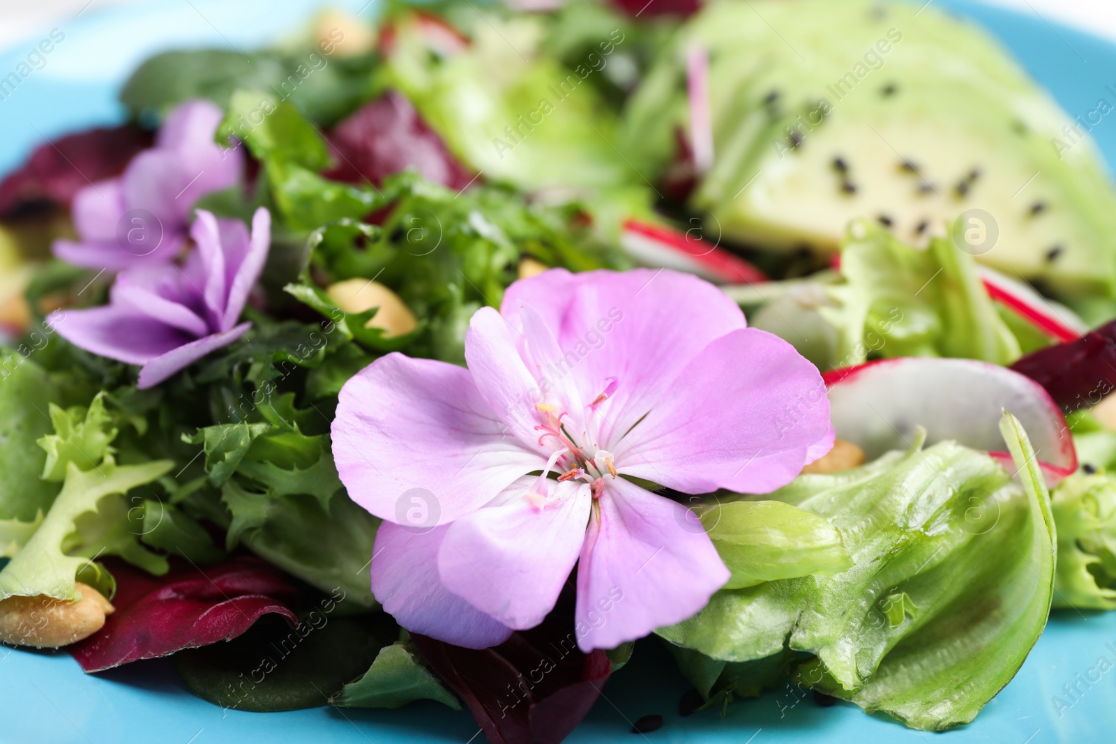 Photo of Fresh spring salad with flowers in plate, closeup