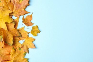 Photo of Pile of autumn leaves on blue background, top view. Space for text