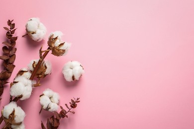 Photo of Dry cotton branch with fluffy flowers on light pink background, flat lay. Space for text