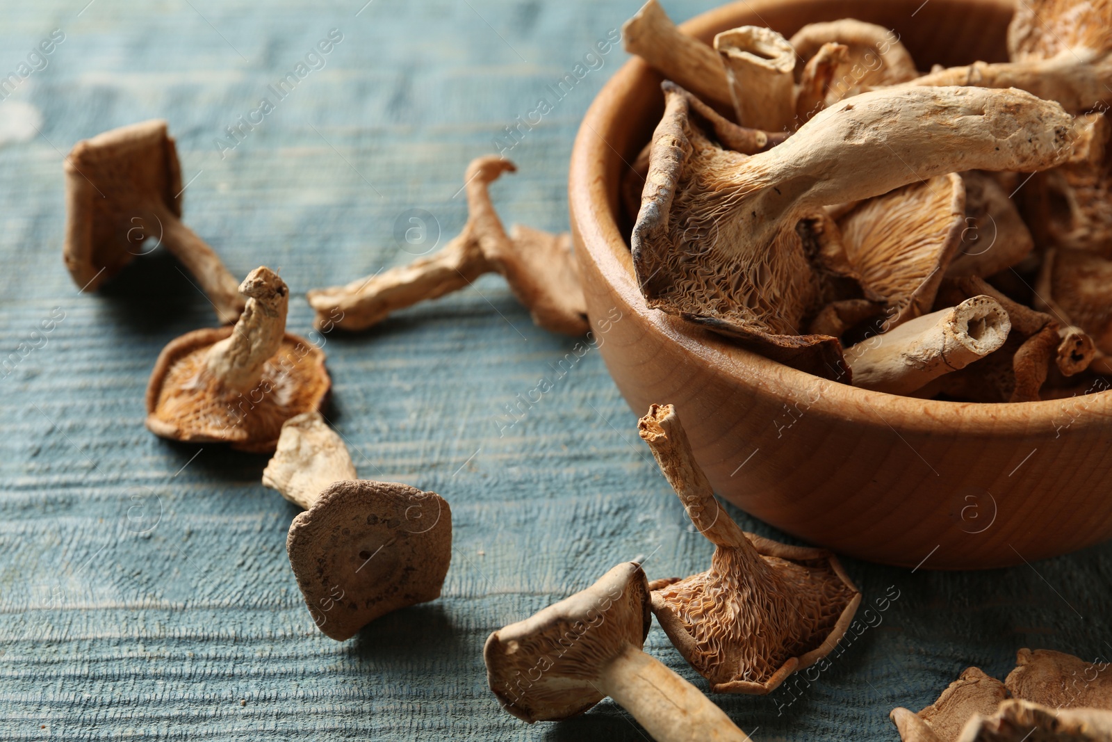 Photo of Composition of dried mushrooms and bowl on color wooden background, closeup