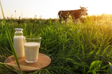 Photo of Glass and bottle of milk on wooden board with cow grazing in meadow