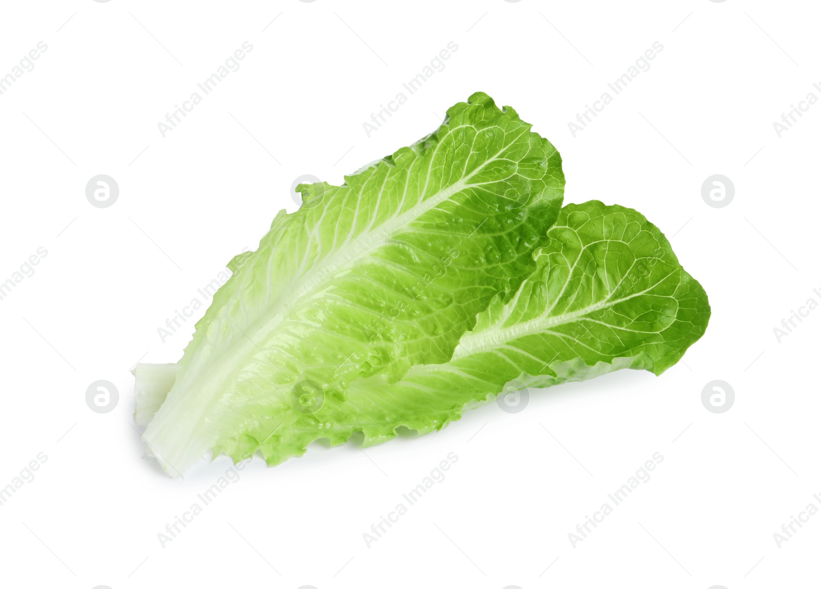 Photo of Fresh green leaves of romaine lettuce isolated on white