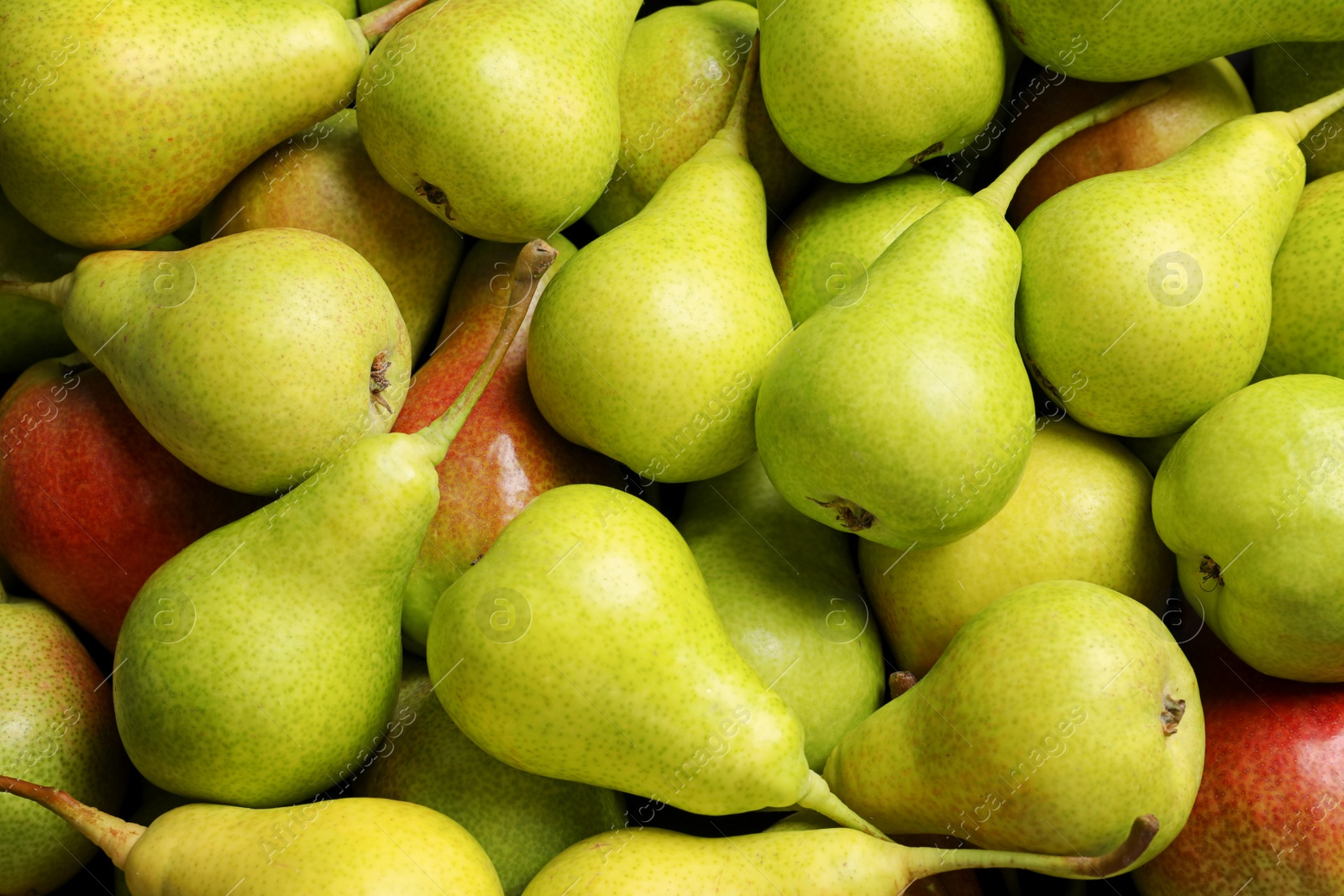 Photo of Fresh ripe pears as background, top view