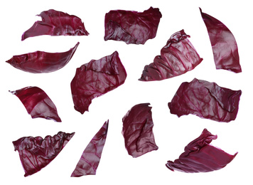 Image of Red cabbage leaves falling on white background