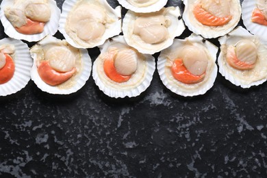 Photo of Fresh raw scallops with shells on black textured table, flat lay. Space for text