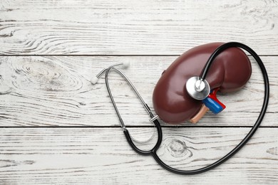 Photo of Kidney model and stethoscope on white wooden table, flat lay. Space for text