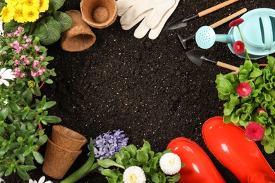 Photo of Flat lay composition with gardening equipment and flowers on soil, space for text