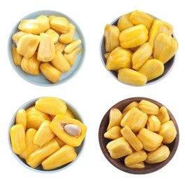 Delicious exotic jackfruit bulbs on white background, top view