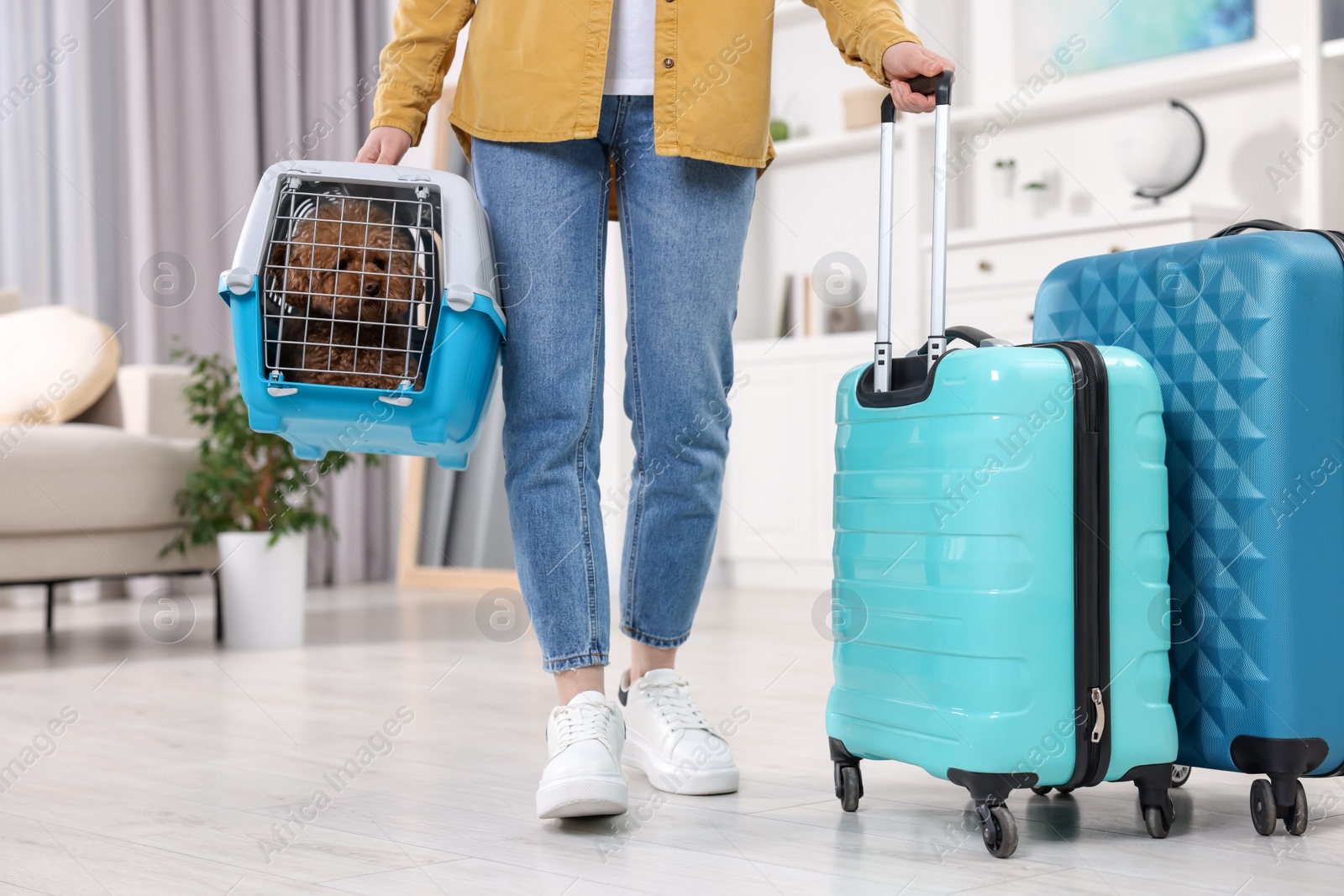 Photo of Travel with pet. Woman holding carrier with dog and suitcase at home, closeup