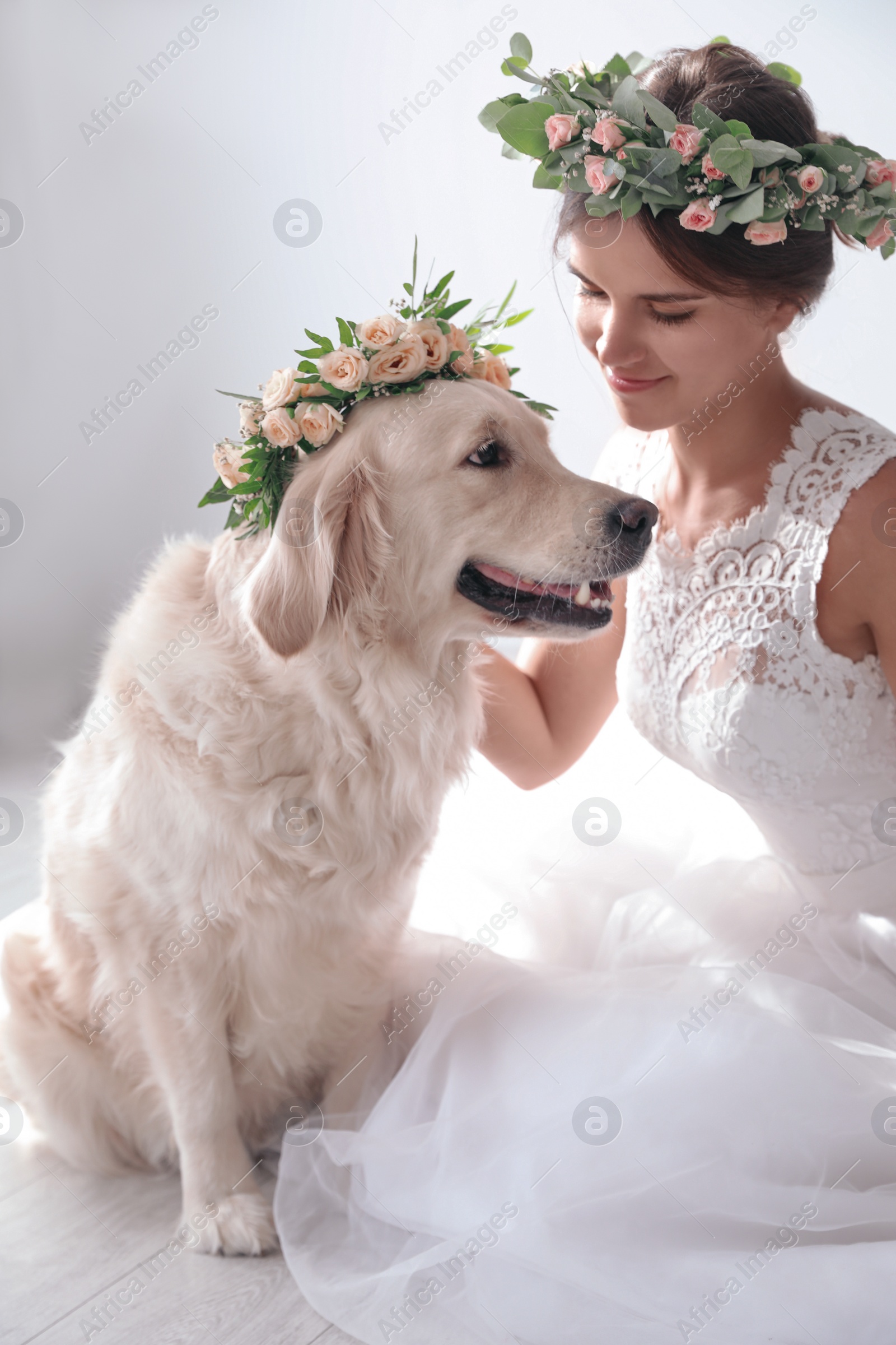 Photo of Bride and adorable Golden Retriever wearing wreath made of beautiful flowers indoors