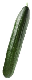 One long fresh cucumber isolated on white