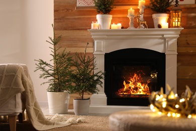 Beautiful room interior with potted firs and fireplace 