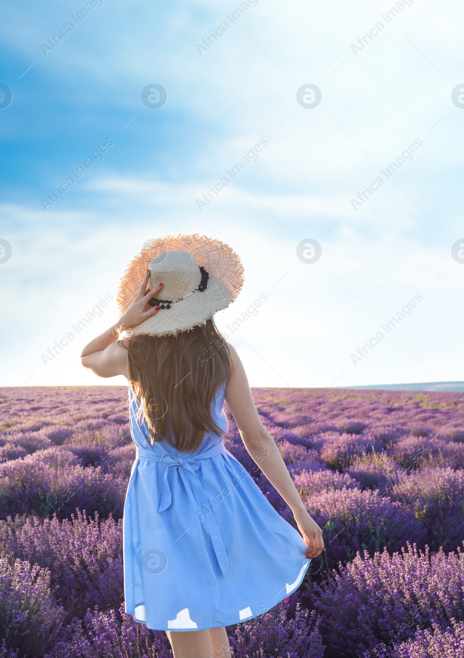 Photo of Young woman in lavender field on summer day