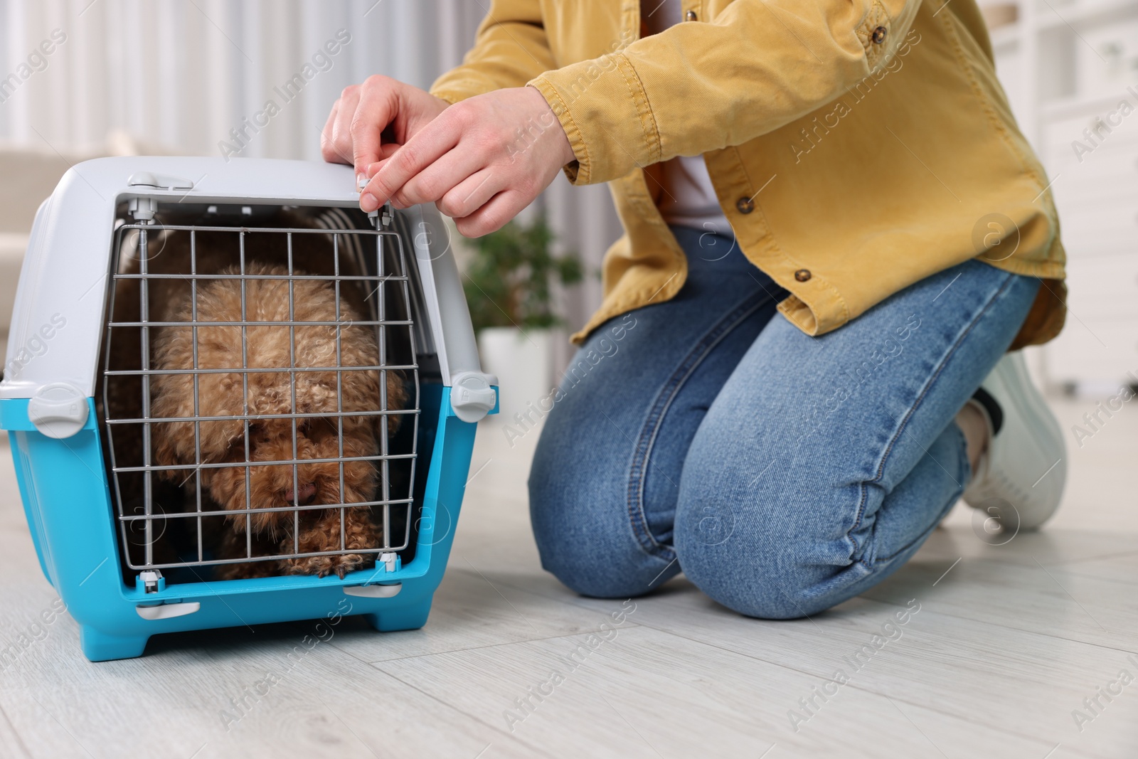 Photo of Woman closing carrier with her pet before travelling indoors, closeup