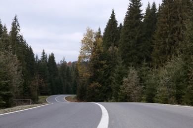 Beautiful view of asphalt highway going through coniferous forest. Autumn season