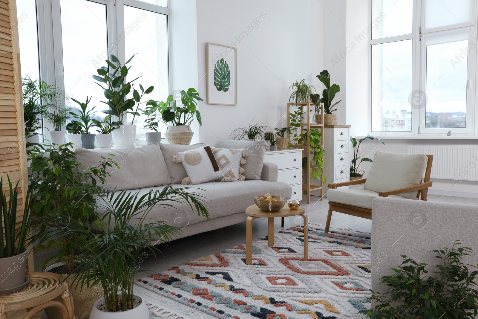 Photo of Stylish room with comfortable sofa, armchair and beautiful houseplants. Interior design